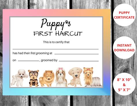 Dog Grooming First Haircut Certificate, Pet Spa, First Puppy Groom ...