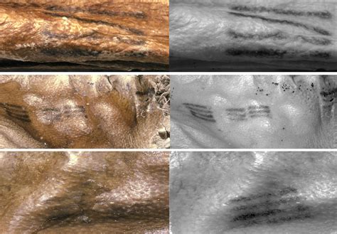 Oldest Known Tattoos Confirmed To Belong To Ötzi The Iceman Mummy ...