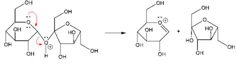 [Solved] Why isn't the hydrolysis of sucrose reaction base catalyzed ? | Course Hero