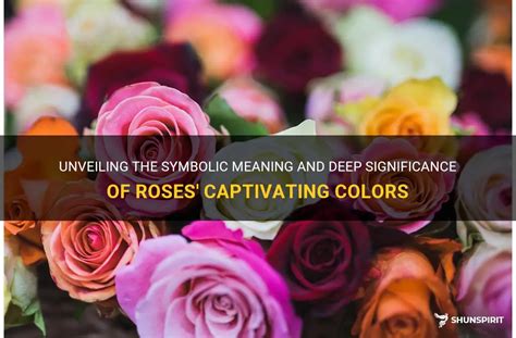 Unveiling The Symbolic Meaning And Deep Significance Of Roses' Captivating Colors | ShunSpirit