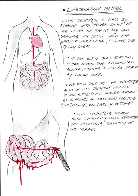 EVISCERATION | Tactical-Combat-System-School-Of-Survival