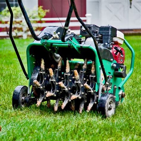 Lawn Aeration Brisbane | Home Lawn Aeration Services