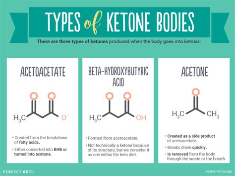 What is Acetoacetate? - Perfect Keto