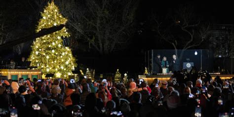 National Christmas Tree toppled by strong winds near White House – DNyuz