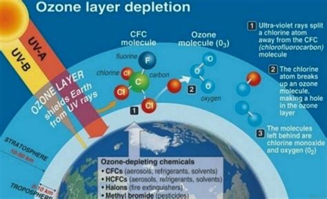 Ultraviolet (UV) radiation, Ozone hole causes, Health & environmental ...