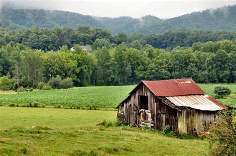 4 Vacations to Enjoy at Our Secluded Cabins in Wears Valley TN