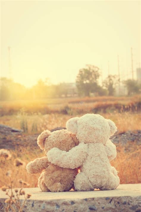 Couple Love Teddy Bears Hugging. Stock Image - Image of object, emotion ...