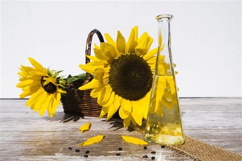 How To Make Sunflower Oil In Your Homestead? — Farm & Animals