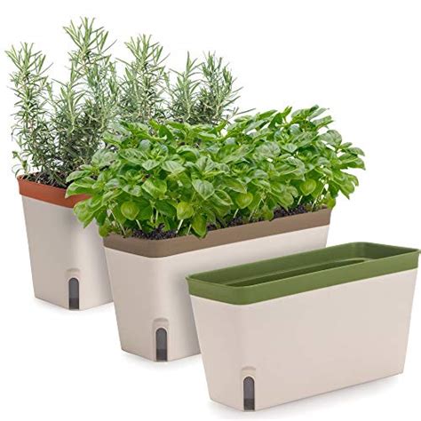 The Best Planters For Indoor Plants And Herbs (2021) | UnAssaggio