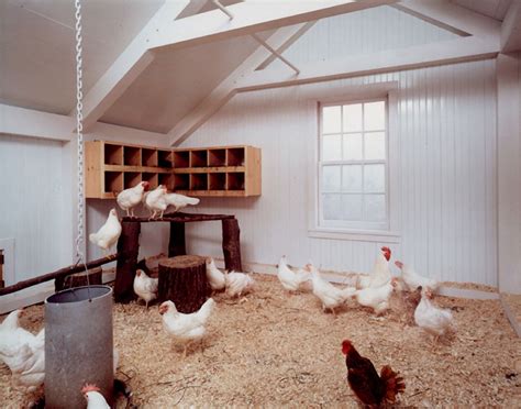 interior chicken coop - Houses and Barns