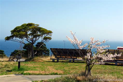 Tashirojima - Cat Island