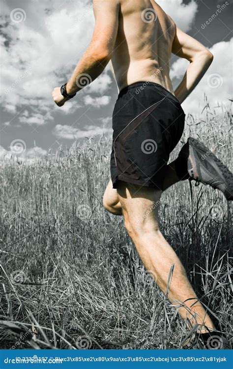 Man Running Cross Country on Trail Stock Image - Image of adventure, field: 23323197