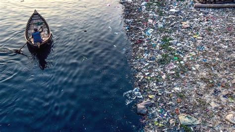 Plastic pollution: take-out food is littering the oceans