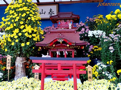 Footsteps - Jotaro's Travels: Sites : Hachiman-gu Shrine, Kamakura, Japan