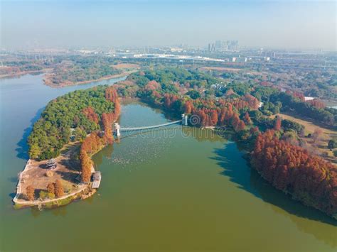 Hubei Wuhan East Lake Scenic Area Late Autumn Scenery Stock Photo ...