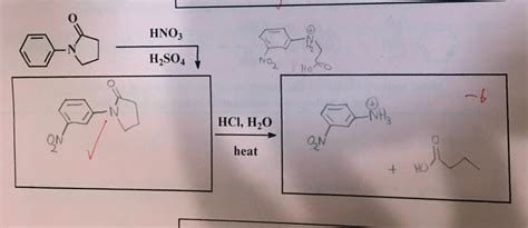 Solved How would you complete the hydrolysis with HCl, H2O, | Chegg.com