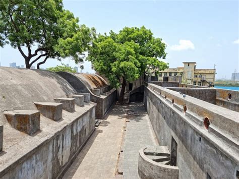 Best Things to See in Sewri Fort Mumbai