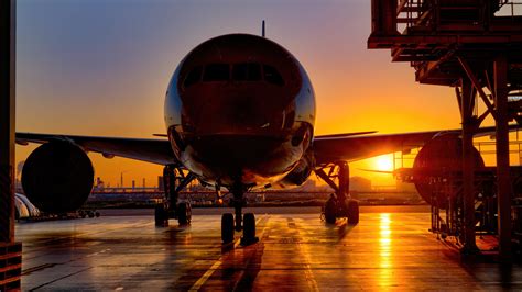 Cruel Summer, Haneda, 20191115 | Boeing 787 Dreamliner, ANA … | Flickr