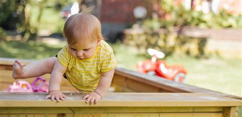 Best Wooden Playset for Small Backyards 2024 Review - Best Playground Sets