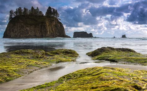 Olympic National Park Wallpapers - Wallpaper Cave