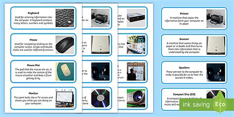 Output Devices Of Computer And Their Functions