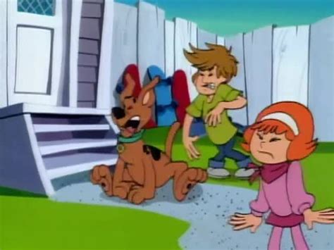 A Pup Named Scooby-Doo Season 1 Episode 9 Scooby Dude | Watch cartoons online, Watch anime ...