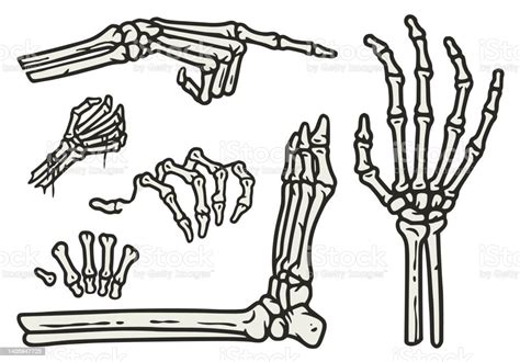 Skeleton Hand And Leg Elements Set For Halloween Stock Illustration - Download Image Now - Hand ...