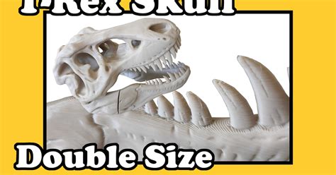 T-Rex Skull Double Size 0.8 Nozzle by iqless | Download free STL model ...