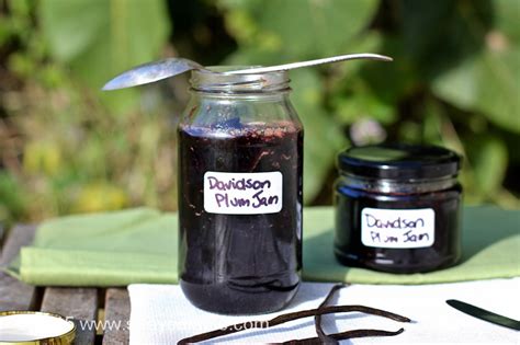 Davidson Plum Jam Recipe - Strayed from the Table