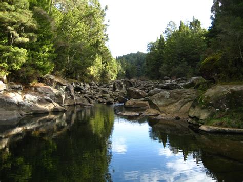 Top 5 New Zealand Whitewater Rafting Day Trips - American Whitewater ...