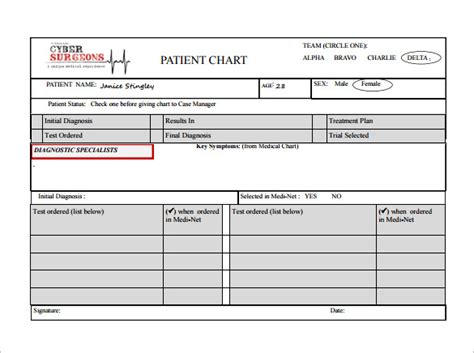 15+ Patient Chart Templates - DOC, PDF, Excel