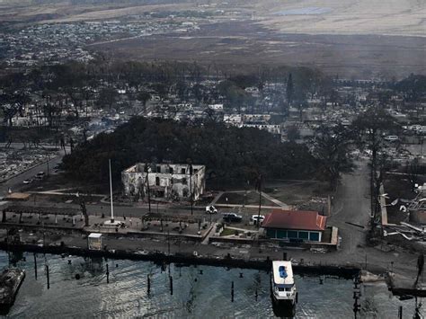 Scorched by Maui wildfire, historic Lahaina banyan tree appears still ...