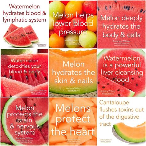 Medical Medium Melon Benefits | Medical medium, Food health benefits, Health and wellbeing