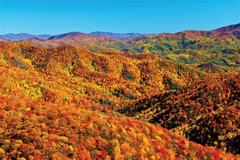 6 Places to Fall for Foliage in Tennessee - Page 4 of 6 - Tennessee Home and Farm