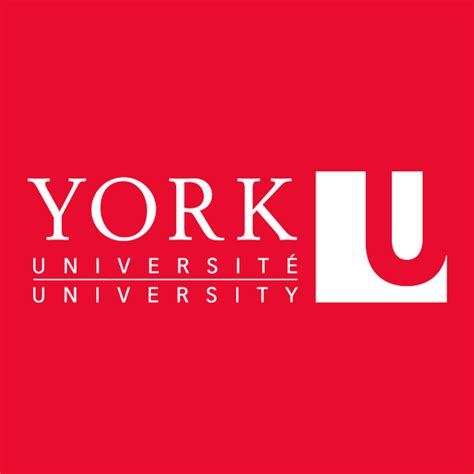 York University features Alumni, Founder of The Black Daddies Club ...