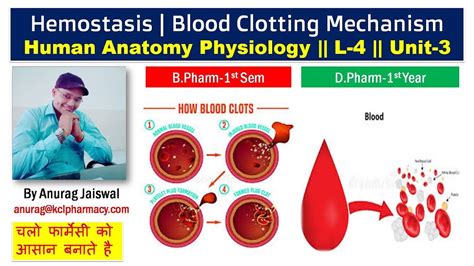 Hemostasis - Mechanism of Blood Clotting || L-4 Unit-3 HAP - YouTube