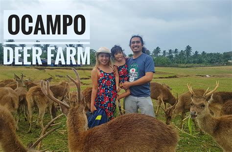 DEER FARM BICOL - OCAMPO, CAMARINES SUR