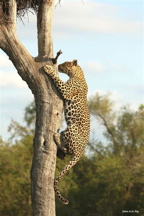 Boulders puts on a show - Leopard Hills Private Game Reserve