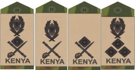 16 common KDF badges and their meaning that all Kenyans should understand - Tuko.co.ke