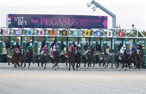 Live-Stream The Pegasus World Cup Invitational With TVG