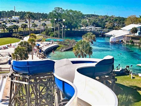 Weeki Wachee Springs | Florida Attractions