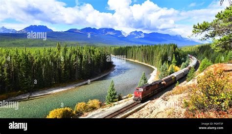 Train passing famous Morant's curve at Bow Valley in autumn ,Banff ...