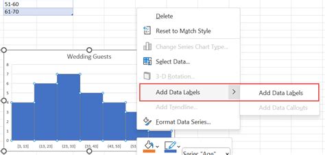 How to Create a Histogram in Excel: A Step-by-Step Guide with Examples ...