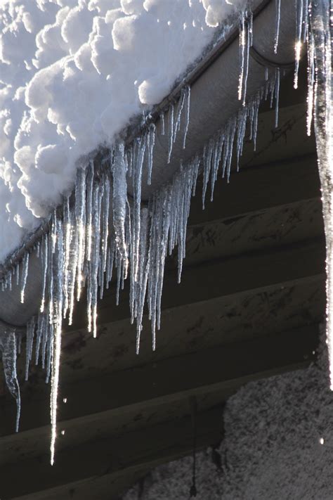 Free Images : water, snow, cold, winter, light, white, frost, roof ...