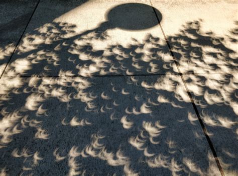 Photos: Eclipse makes for spooky shadows across Washington | KOMO