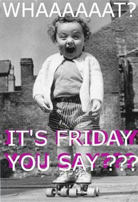 Its Friday Bitches! | Too funny...... | Pinterest