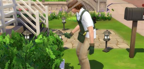 Sims 4 Gardening Career Guide: How To Become a Botanist Or A Florist