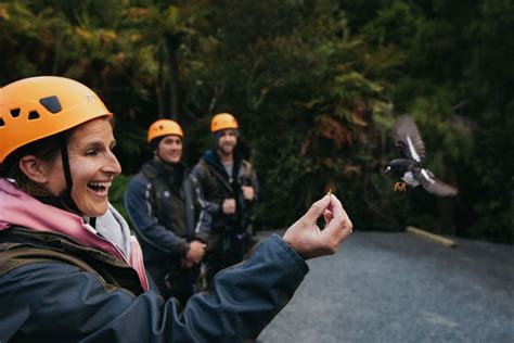 Rotorua: Guided Zipline Adventure Tour With Photos