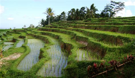 10 Amazing Facts About Bali | Authentic Indonesia