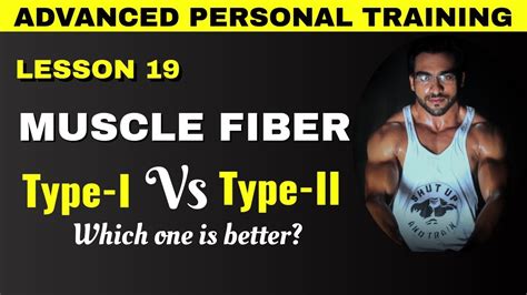 Type 1 vs Type 2 muscle fiber || muscle fiber classification - YouTube